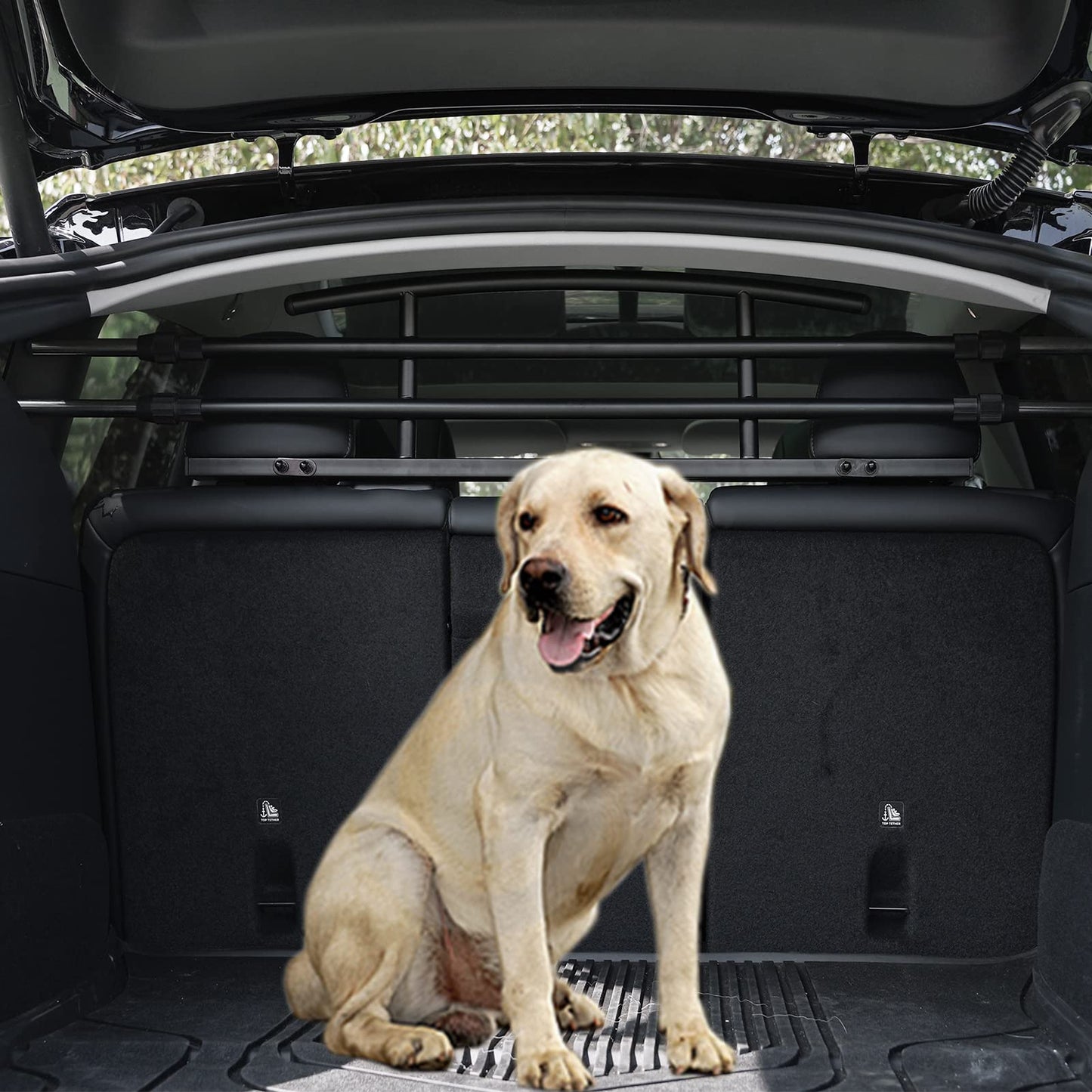 Rear Seat Pet Fence Dog Barrier for Tesla 2020-2025 Model Y