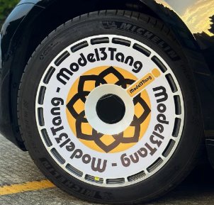 18' 19' Hub Caps Custom Stickers For Tesla Model 3 Y