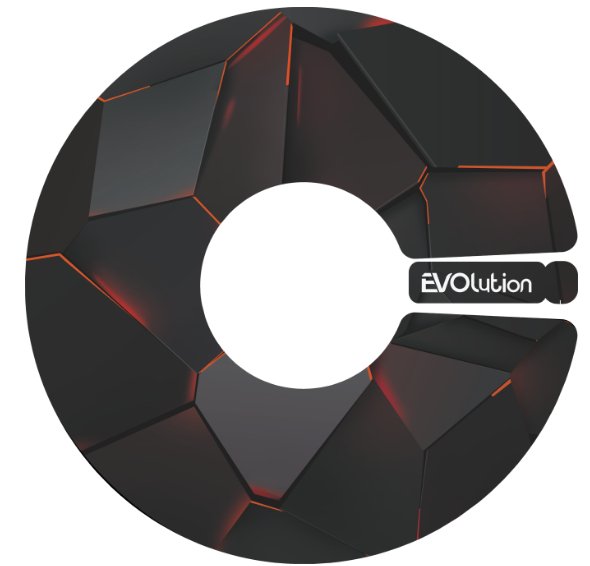 18' 19' Hub Caps Custom Stickers For Tesla Model 3 Y