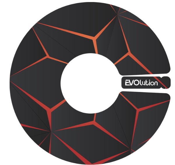 18' 19' Hub Caps Custom Stickers For Tesla Model 3 Y