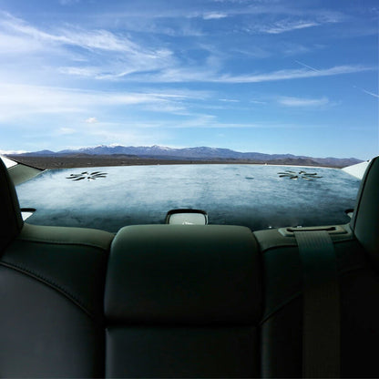 Anti-Glare Dash Cover Mat for Tesla Model 3/Y Rear Deck