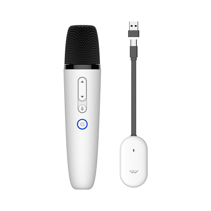 Karaoke Microphone for Tesla Model Y/3/S/X Cybertruck 1 Mic