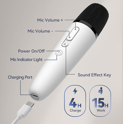 Karaoke Microphone for Tesla Model Y/3/S/X Cybertruck
