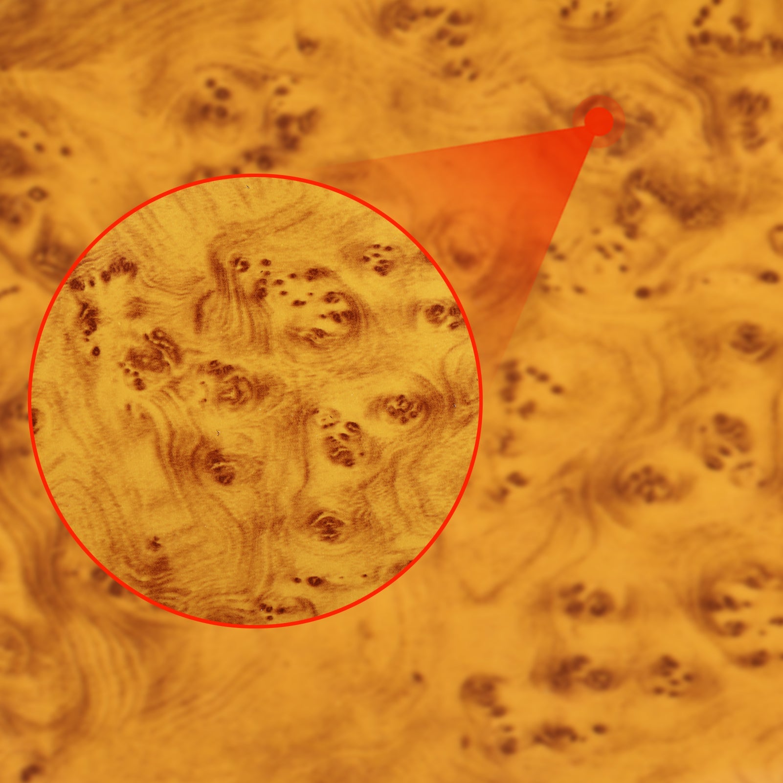 Tesla 2024 model 3 wheel center epoxy carbon fiber Decoration stickers (4 Pcs)