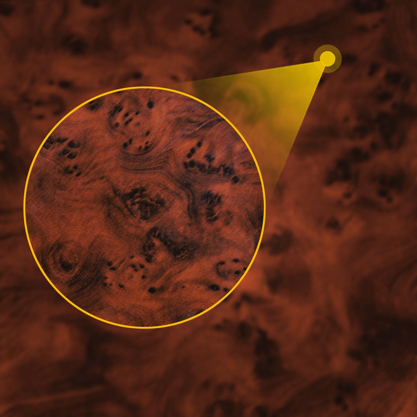 Tesla 2024 model 3 wheel center epoxy carbon fiber Decoration stickers (4 Pcs)