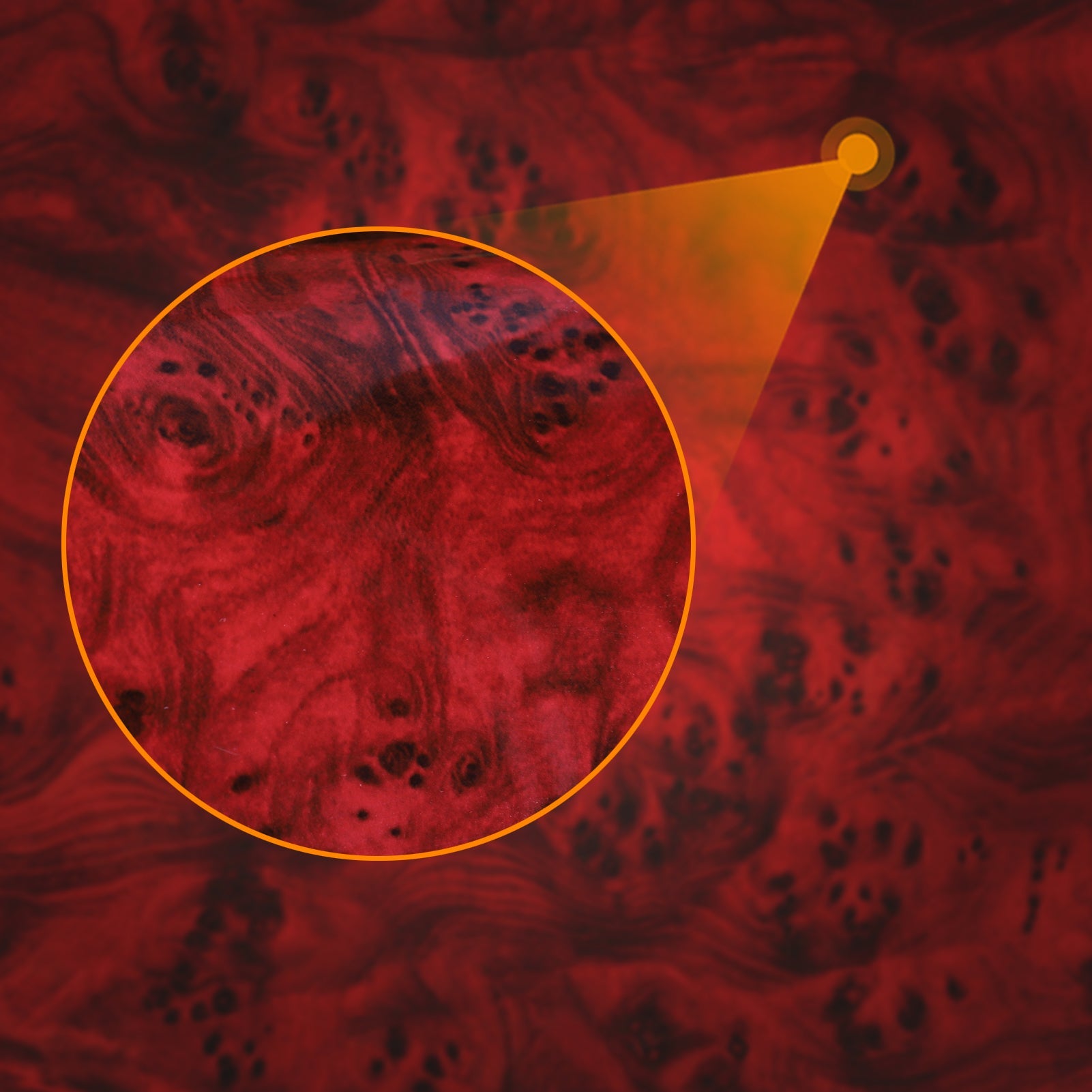 Tesla 2024 model 3 wheel center epoxy carbon fiber Decoration stickers (4 Pcs)