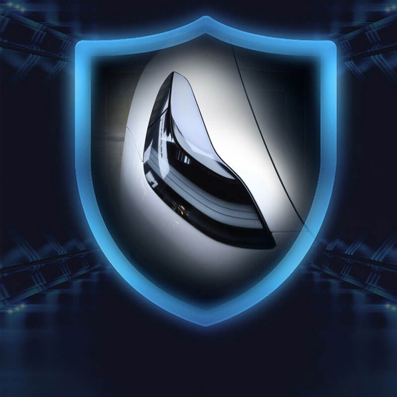 Tinted Headlight and Foglight Protection for Tesla Model S/3/X/Y